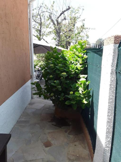Petit Coin De Paradis Évisa Exterior foto